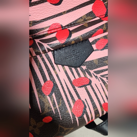 Louis Vuitton Limited Edition Palm Springs Jungle Dot Backpack. - Picture 14 of 15